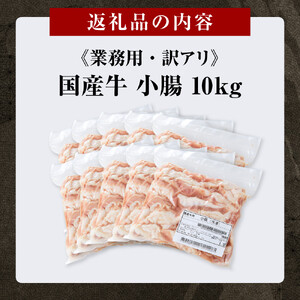 《業務用・訳アリ》国産牛　小腸　10kg