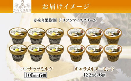 ドリアン アイスクリーム 2種 計12個 ココナッツミルク キャラメル アーモンド アイスクリーム