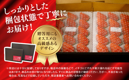 いちご 定期便10回分 やよいひめ（いちご）約800g 2027年 先行予約 | いちご 群馬県 前橋市