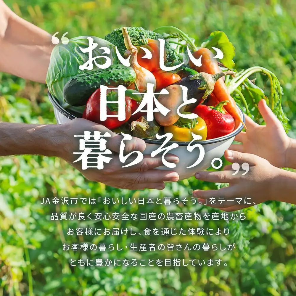 ★【全10回】JA金沢市 季節の加賀野菜・金沢地物野菜セット頒布会（毎月１回）
