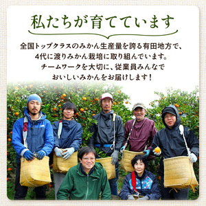 〈定期便〉【10・11・12月 全3回】家庭用 有田みかん定期便 2.5kg+250g（傷み補償分）※北海道・沖縄・離島への配送不可