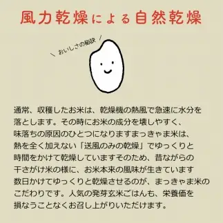 令和7年度産 【特別栽培米】 石川県産 こしひかり 棚田米 【白米】 5kg まっきゃま米
