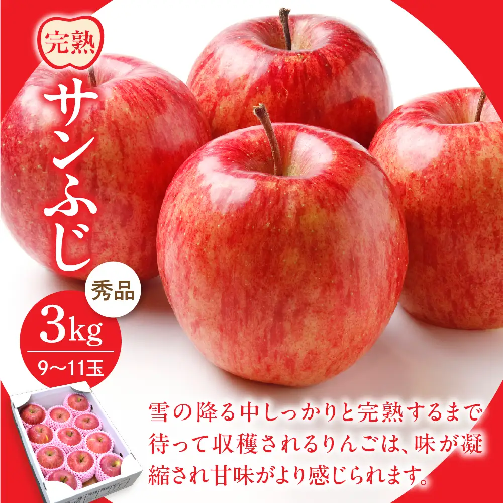 定期便 3回 山形フルーツ マスカット 洋梨 サンフジ 定期便 フルーツ