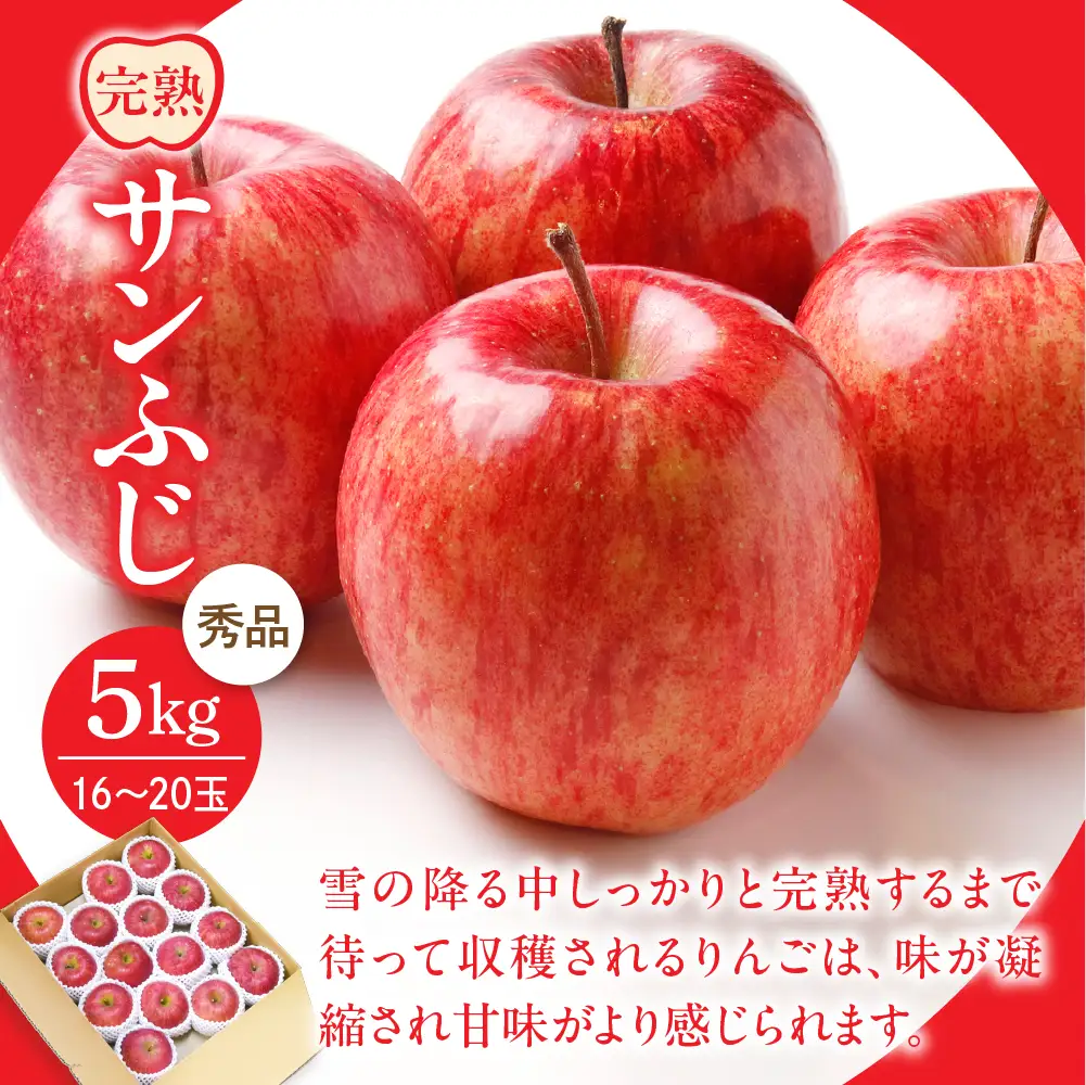 定期便 3回 お取り寄せ 黄桃 マスカット サンフジ 定期便 フルーツ