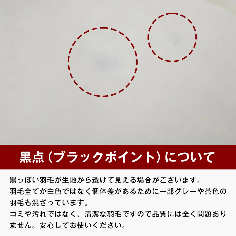 140×190cm 小さめ羽毛ふとん 1.0kg入 85％ セミシングル ジュニア ふわかる1410
