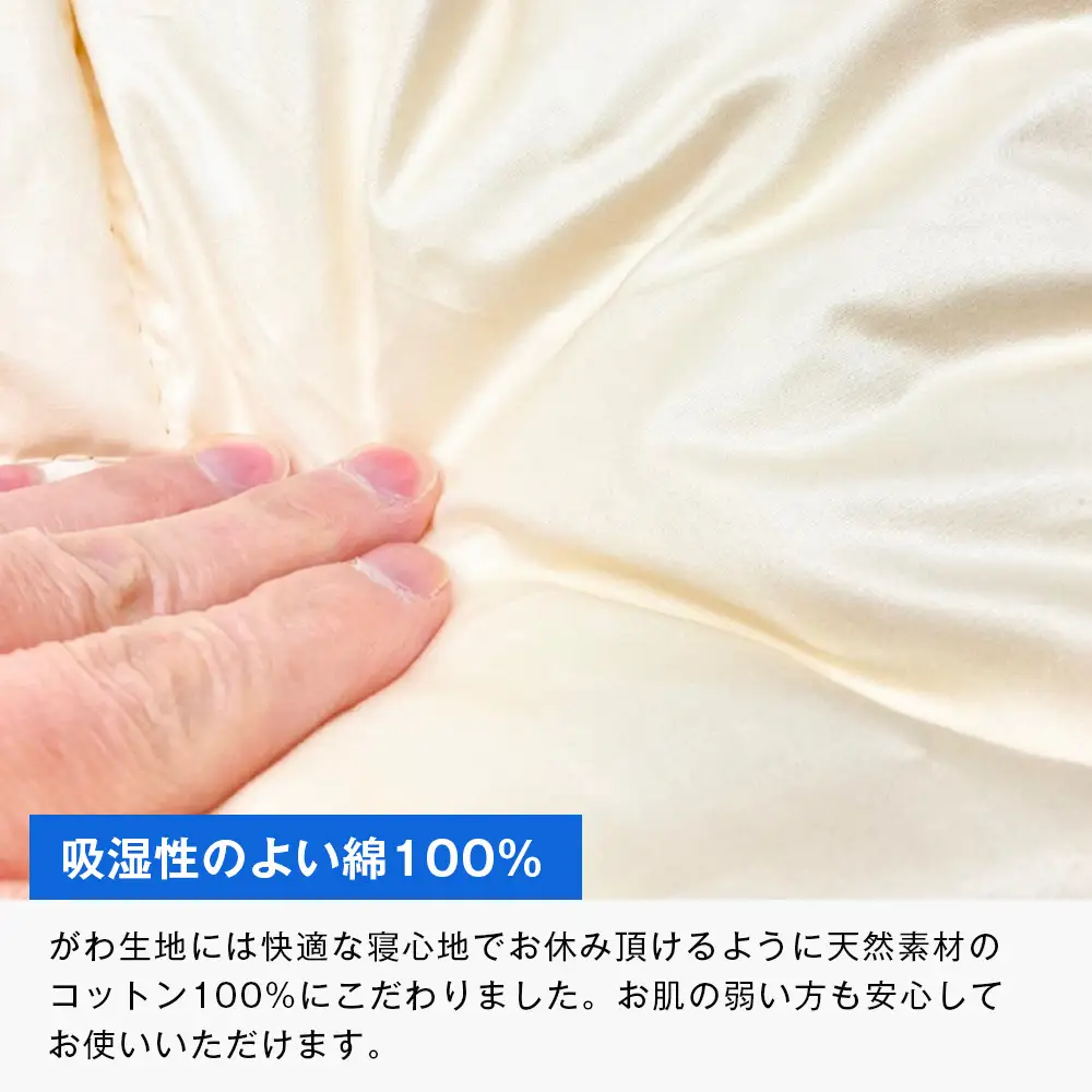 清潔掛ふとん 洗えるインビスタ ダクロン 肌掛布団 日本製 SL ふわもち1507