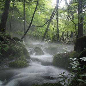 栃木県塩谷町で製造　ばんのう酵母くん(23ml×6本)　1箱