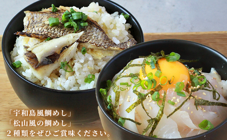 ＜愛媛の鯛めし食べ比べセット（2セット）＞ 愛媛の鯛めし 鯛 真鯛 まだい マダイ 天然真鯛 2種 宇和島風 松山風 郷土料理 丼 ごはん 魚介 海の幸 海鮮 炊き込みご飯 詰合せ YNコーポレーション 愛媛県 西予市【冷凍】『1か月以内に順次出荷予定』OYN0002