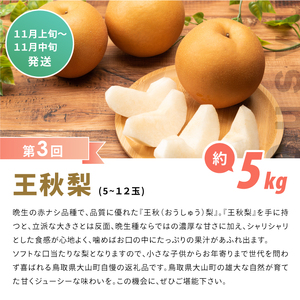 DS-11　梨の食べ比べ頒布会（二十世紀梨・あきづき梨・王秋梨）