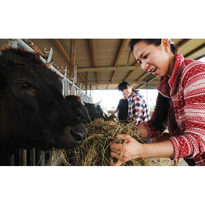 【ふるさと納税】沖縄県産和牛【KINJO BEEF】手ごねハンバーグステーキ（200g×5P）  | 肉 にく 沖縄  人気 送料無料