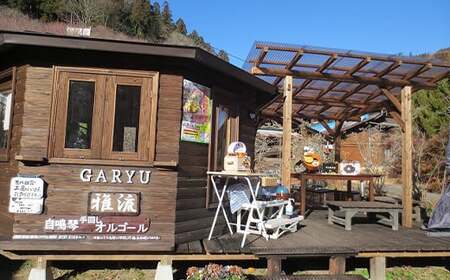 手回しオルゴールGARYU-mini マイク出力あり F21K-295