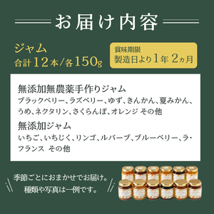 a20-272　無添加無農薬手作りジャム12本
