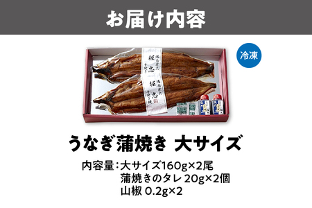 【なにわの名工】炭火手焼き鰻うなぎ大2尾 鰻_OS157-0001