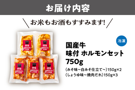 国産牛味付ホルモンセット ホルモン_OS170-0008
