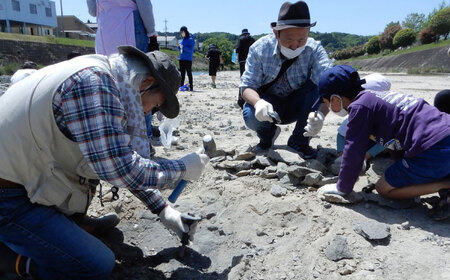 瑞浪市化石博物館 見学と化石採集プライベートツアー（一日）＆ グッズセット 瑞浪市[AZCJ006]