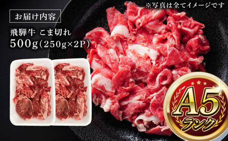 A5等級 飛騨牛 こま切れ 500g (250g×2P) 瑞浪市 / マルチョウ渡辺精肉店 牛肉 和牛 国産 ギフト お取り寄せ [AZCW003]