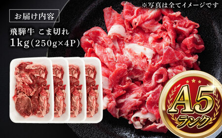 A5等級 飛騨牛 こま切れ 1kg (250g×4P) 瑞浪市 / マルチョウ渡辺精肉店 牛肉 和牛 国産 ギフト お取り寄せ [AZCW004]