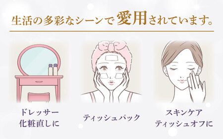 【全3回定期便(2ヵ月に1回)】カシミヤ スコッティ 10箱 ティッシュ ペーパー [BDAM033]