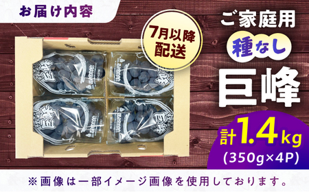 【★先行予約★ 2026年7月下旬より発送】【ご家庭用】種無し巨峰 約350g×4P / ぶどう 巨峰 果物[AFAB086]