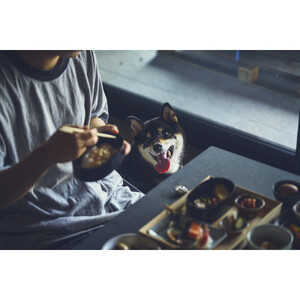 【愛犬と一緒に泊まれるホテル・1HOTEL】ふるさと納税宿泊ギフト券30,000円分