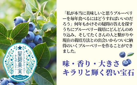 きらぼしべりぃのリッチソルベ6個入り アイス ソルベ アイス