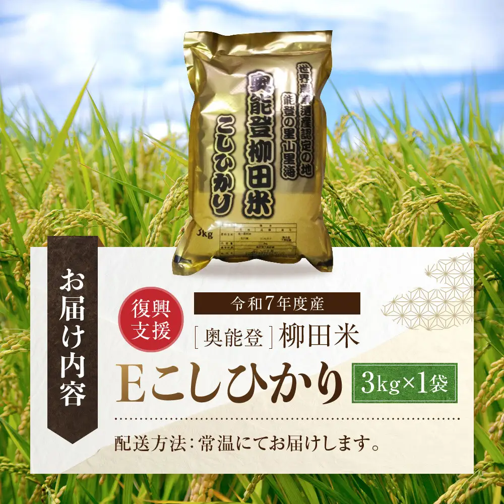 【復興支援】【令和7年度産】奥能登柳田米Ｅこしひかり 3kg