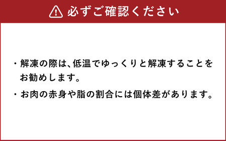 松阪牛使用 ハンバーグ 10パック 計約1,400g セット 松阪牛 松坂牛 和牛 黒毛和牛 国産牛 日本三大和牛 ブランド牛 牛肉 ビーフ お肉 肉 調理肉 おかず 惣菜 総菜 グルメ 北海道 北広島市 冷凍