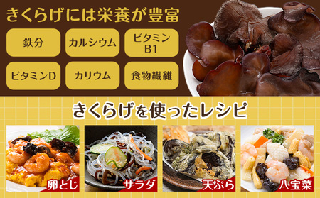 乾燥きくらげ 100g 鷹乃産業有限会社 《30日以内に出荷予定(土日祝除く)》熊本県 球磨郡 山江村 きくらげ きのこ 野菜