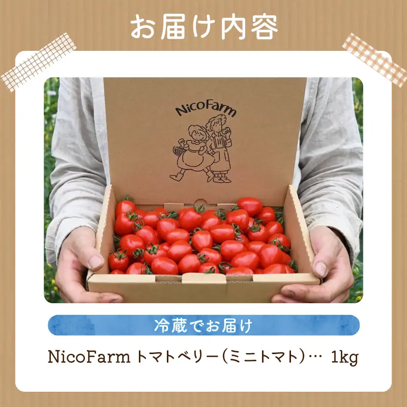 【先行予約：2026年7月下旬頃より発送】NicoFarm トマトベリー（ミニトマト）1Kg_ Y124-0011
