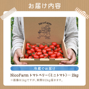 【先行予約：2026年7月下旬頃より発送】NicoFarm トマトベリー（ミニトマト）2Kg_Y124-0012