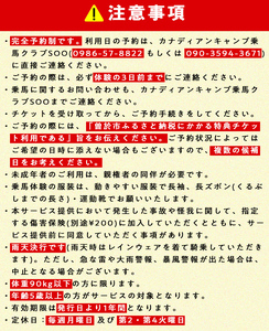【乗馬 体験 チケット】ミニ 遠乗り 20分～初心者 向け、5歳 以上～(1名様)【曽於市観光協会】 A783