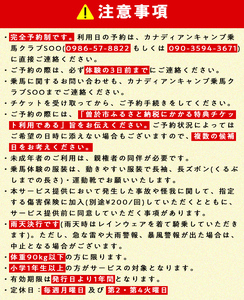 【 乗馬 スクール チケット 】ビギナー スクール 30分レッスン×3回 小学1年生以上  体験 チケット (1名様)【曽於市観光協会】 D40