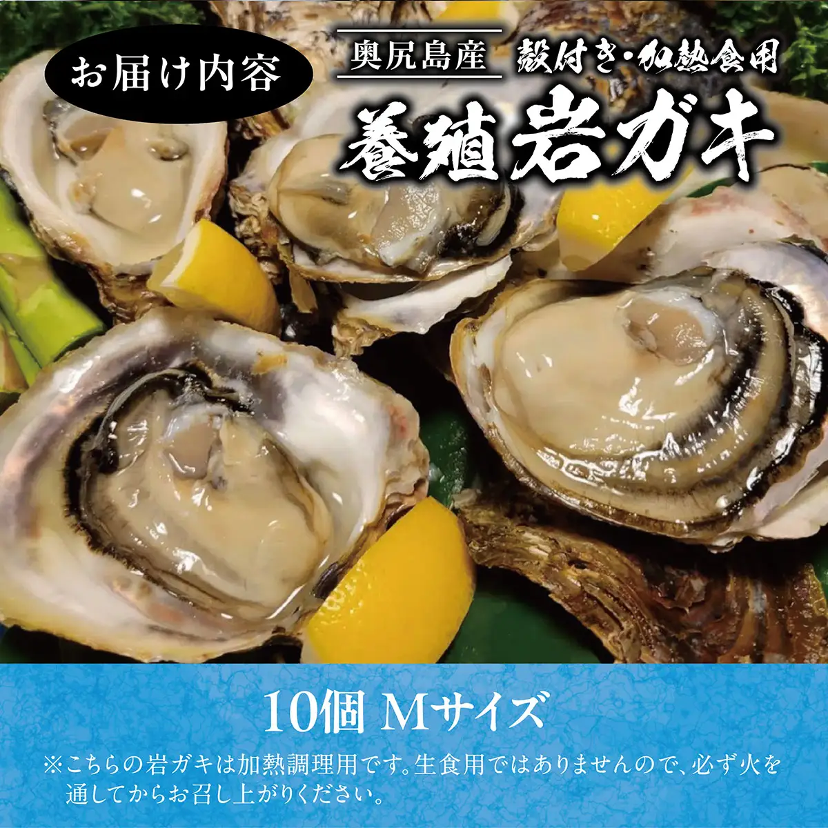 【先行予約 2025年7月20日より発送】奥尻島産養殖岩ガキ【Mサイズ】殻付き　10個入り（加熱食用）～豊かな海が育てた海の宝石～ 