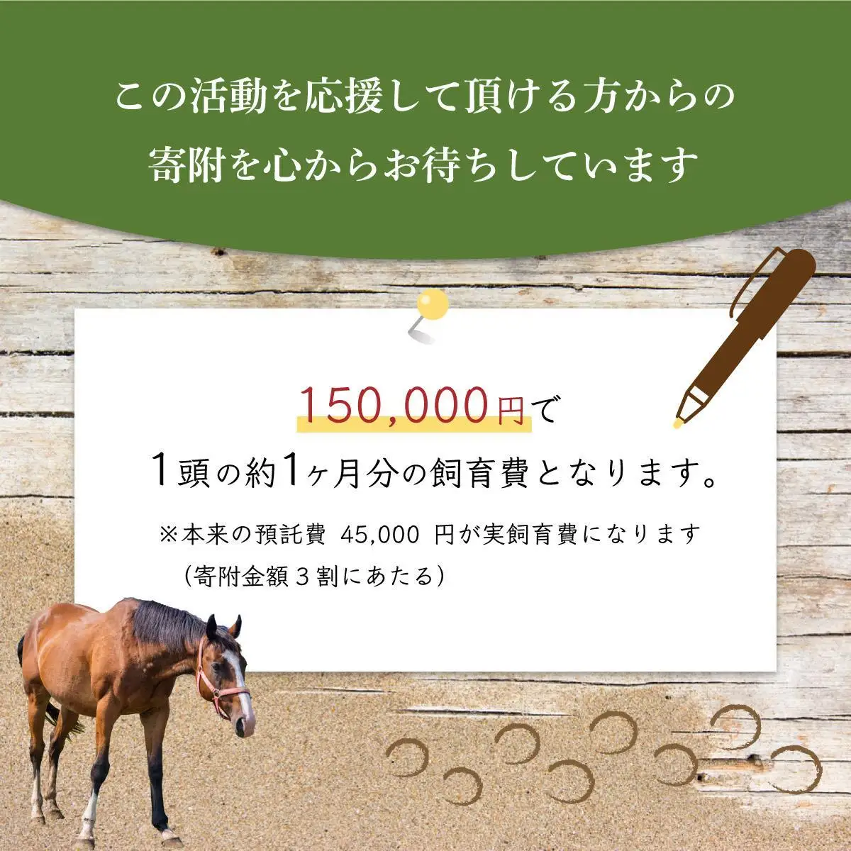 ホーストラスト北海道支援 5000円コース 引退馬