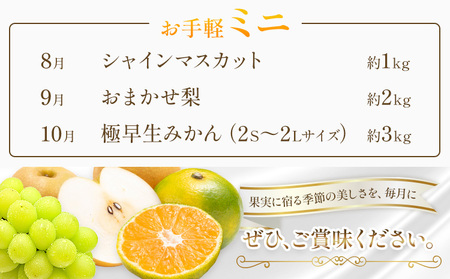 旬の フルーツ 定期便 3ヶ月連続 秀品 ミニ 計6㎏ 日本フルーツ株式会社《8月上旬-10月末頃出荷》熊本県 荒尾市 シャインマスカット おまかせ 梨 極早生みかん 果物 フルーツ スイーツ デザート ギフト ご贈答
