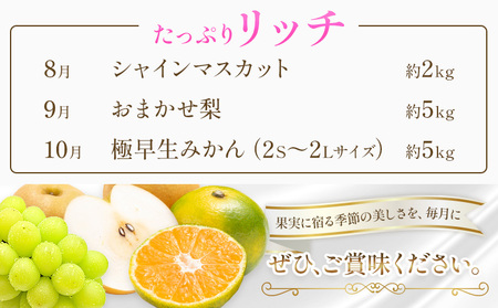 旬の フルーツ 定期便 3ヶ月連続 秀品 リッチ 計12㎏ 日本フルーツ株式会社《8月上旬-10月末頃出荷》熊本県 荒尾市 シャインマスカット おまかせ 梨 極早生みかん 果物 フルーツ スイーツ デザート ギフト ご贈答