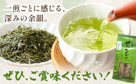 八女茶 深蒸し 茶煎茶 100g 株式会社ＪＳＥ《30日以内に出荷予定(土日祝除く)》 福岡県 小竹町 お茶 煎茶 深蒸し茶 お茶 茶葉 お茶の葉 お茶葉 煎茶 国産 日本茶 飲物 飲み物 飲みもの のみもの
