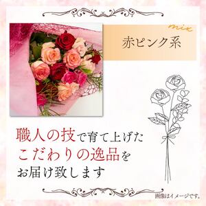 【 薔薇 ＆ 日本酒 セット 】バラ 花束 12本 色 赤ピンク系 ＆ 純米大吟醸 720ml 「AZOLLA50」( ローズ フラワー 花 ブーケ 新鮮 ばら 高品質 綺麗 おさけ 酒 ご褒美 自宅用 花束 草花 誕生日 記念日 母の日 父の日 敬老の日 プロポーズ 結婚祝い 結婚式 プレゼント お祝い 贈り物 贈答 インテリア おしゃれ かわいい 雑貨 飾り 鑑賞 旬 植物 春夏秋冬 季節 ) 