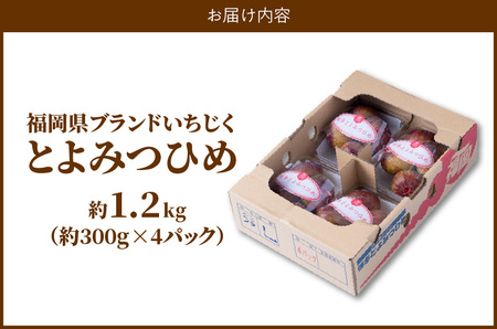 福岡県ブランドいちじく「とよみつひめ」約300g×4パック_ブランド いちじく とよみつひめ 約300g×4パック 計1.2kg 肉厚 果肉 滑らか 食感 甘く 上品な 味わい ケーキ タルト ジャム パフェ シャーベット スイーツ 食材 果物 フルーツ 果実 お取り寄せ グルメ お取り寄せグルメ 福岡県 久留米市 送料無料 〔Fx020〕