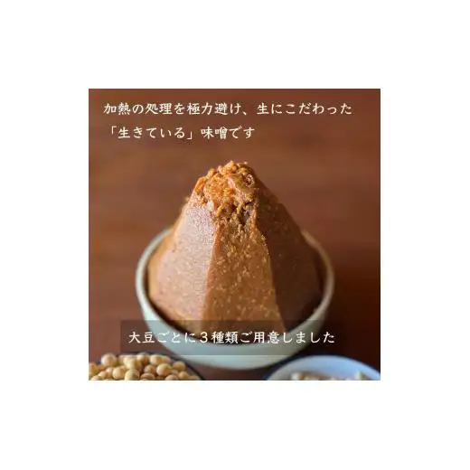 天然醸造 オオツル大豆味噌 大月産 自然栽培大豆＆米100%使用