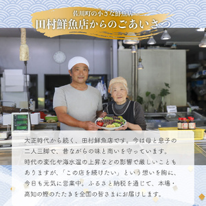 【ふるさと納税】＜【冷蔵便】田村鮮魚店 鰹のたたき＞1~3節 約600～700g 薬味 タレ 付 かつおのたたき 高知 カツオのタタキ＜２～４ヶ月程度で発送予定＞