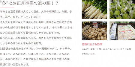 【定期便6か月】道の駅まくらがの里古河　季節の新鮮野菜おまかせBセット ※北海道・沖縄・離島への配送不可 | 野菜 詰合せ 詰め合わせ セット アソート 新鮮 道の駅 人気 ギフト 贈答 贈り物 プレゼント お中元 お歳暮 茨城県 古河市 直送 産地直送 _BQ08