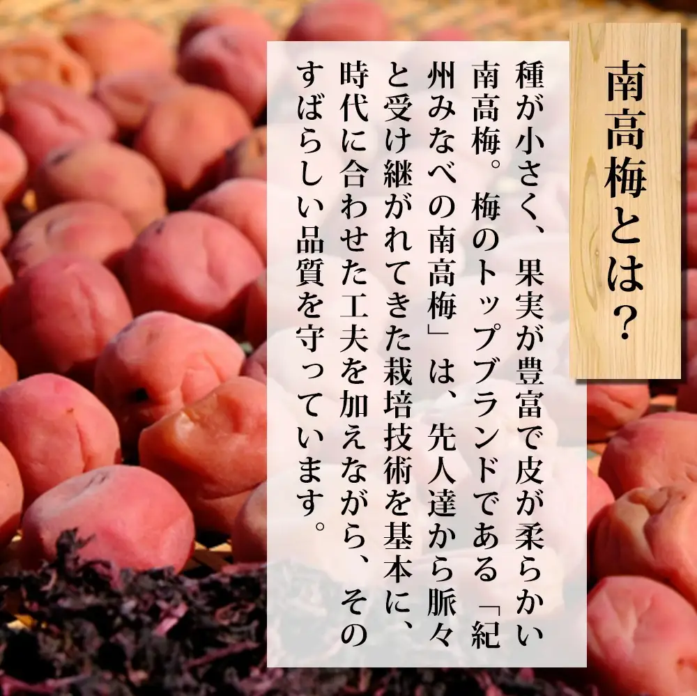 特選 紀州南高梅「白梅の里」はちみつ 430g sekifz021B【sekifz021B】