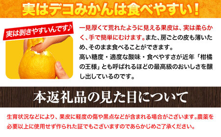 デコポンデコみかん 訳あり 約2kg前後 《4月下旬-5月末頃出荷》