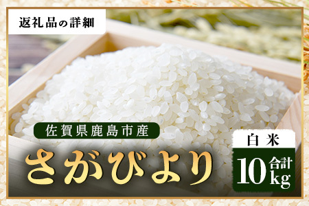 【鹿島市産】＼生産者直送／ さがびより 白米10kg　さがびより 佐賀県産さがびより 佐賀県鹿島市 お米 米 精米 玄米 ふるさと納税 お米 ご家庭用米 主食ギフト 美味しいお米 お取り寄せ 贈答用米 食卓応援　D-250