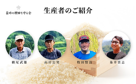 【令和8年産 先行予約】大地の恵みを味わいながら未来を守る「星峠棚田米」 10kg（白米）越後まつだい 魚沼産コシヒカリ