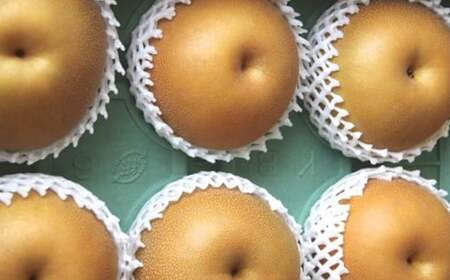 新高梨 5kg 【2026年9月上旬～10月上旬迄発送予定】 梨 なし 和梨 果物 果実 フルーツ 国産 九州 長崎県 長崎市 常温 オンライン決済限定