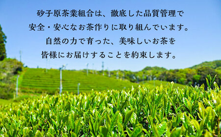 お茶 煎茶・和紅茶セット [AIBV004] 