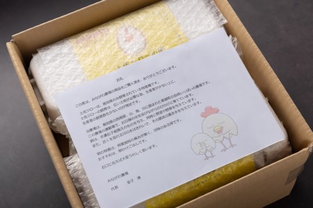 放し飼い土佐ジロー 卵 20個 卵 卵 卵 卵 卵 卵 ［1177］