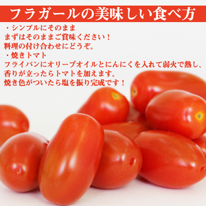 岩手県産 ミニトマト フラガール 1kg 【淺利園】／ 高糖度 トマト とまと 野菜 やさい フレッシュ 新鮮 夏野菜 旬 旬野菜 甘い 美味しい フルーツトマト 1キロ １キロ １kg 楕円 希少 稀少 期間限定 お取り寄せ グルメ 季節限定 夏 産地直送 農家直送 国産 人気 おすすめ